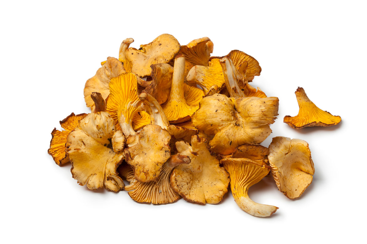 Recettes-Girolles-La-Boutique-du-Champignon